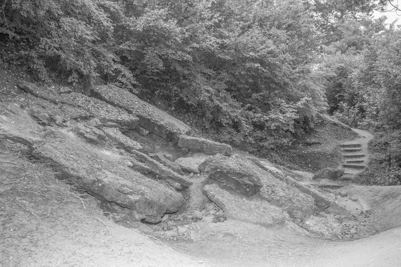 © Justyna Górniak - Title: Bosnian Pyramids: Great Discovery or Colossal Hoax? May 04, 2006, Live Science