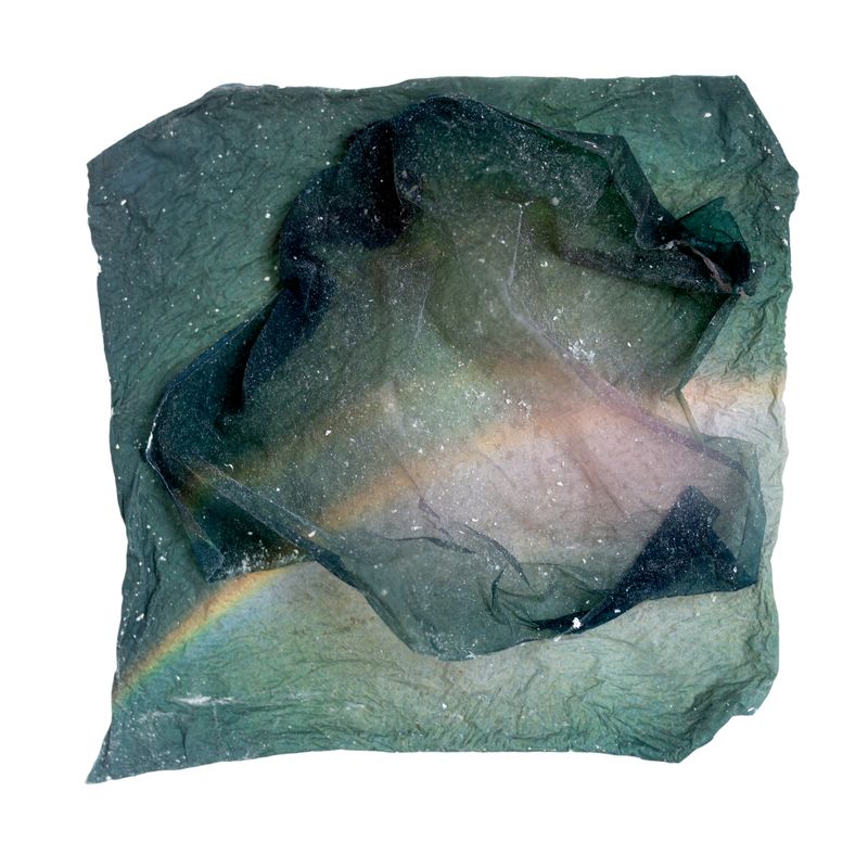 © Amber Lee Williams - Rainbow