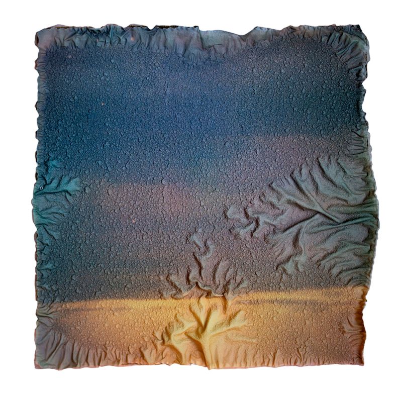 © Amber Lee Williams - Showers and Thunderstorms