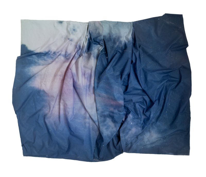 © Amber Lee Williams - Iridescence