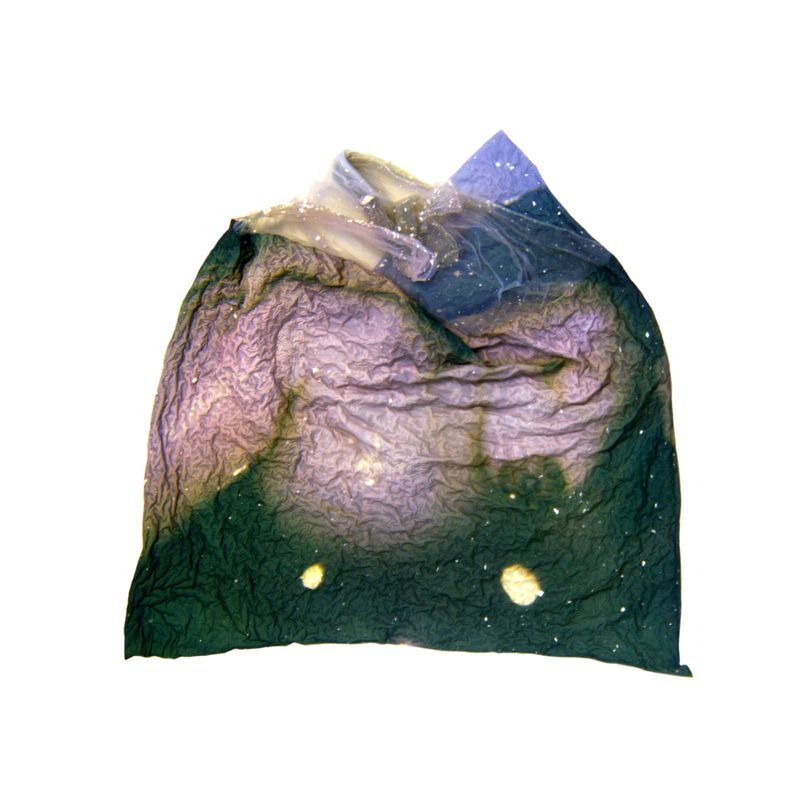 © Amber Lee Williams - Over the Moon, 2018, Archival pigment print (Polaroid emulsion lift)