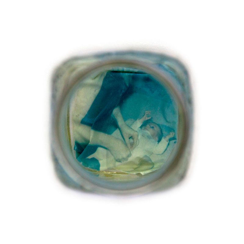 © Amber Lee Williams - Preserve #21, 2018, Archival pigment print (Polaroid emulsion lift)