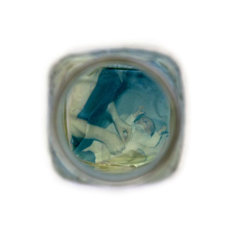 © Amber Lee Williams - Preserve #21, 2018, Archival pigment print (Polaroid emulsion lift)