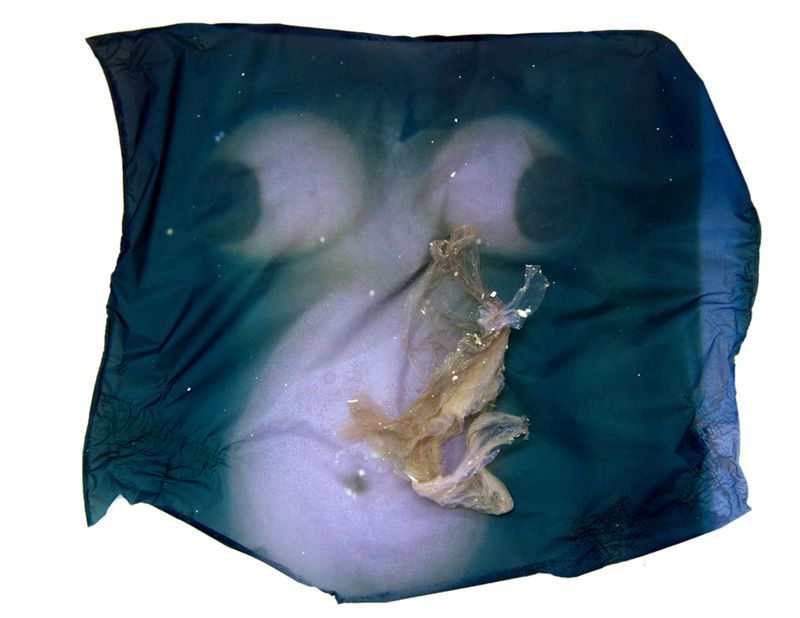 © Amber Lee Williams - Partially Submerged #2, 2018, Archival pigment print (Polaroid emulsion lift)