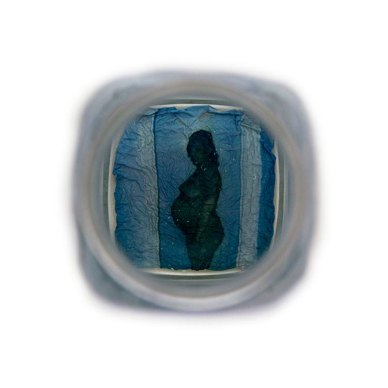 © Amber Lee Williams - Preserve #16, 2018, Archival pigment print (Polaroid emulsion lift)