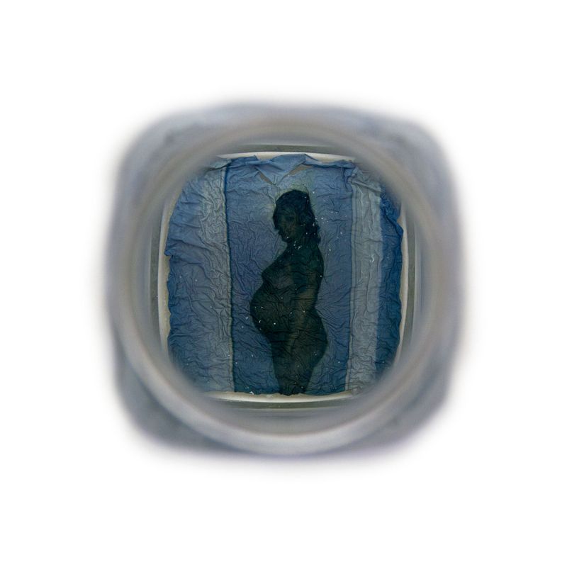 © Amber Lee Williams - Preserve #16, 2018, Archival pigment print (Polaroid emulsion lift)