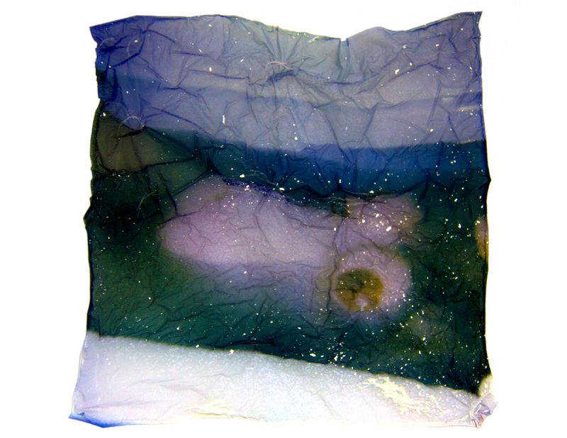 © Amber Lee Williams - Partially Submerged #1, 2018, Archival pigment print (Polaroid emulsion lift)