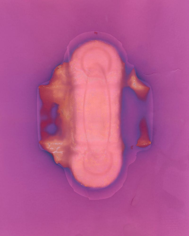 © Amber Lee Williams - Padsicle #1, 2018, Archival pigment print (Lumen Print)