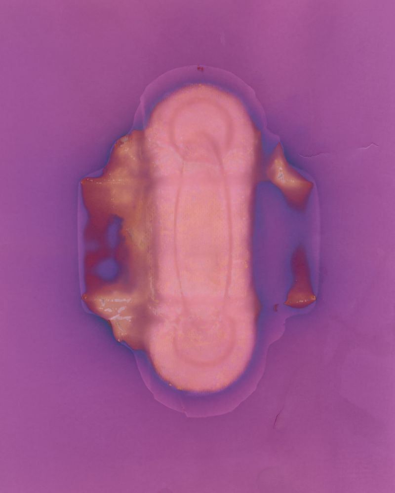 © Amber Lee Williams - Padsicle #1, 2018, Archival pigment print (Lumen Print)