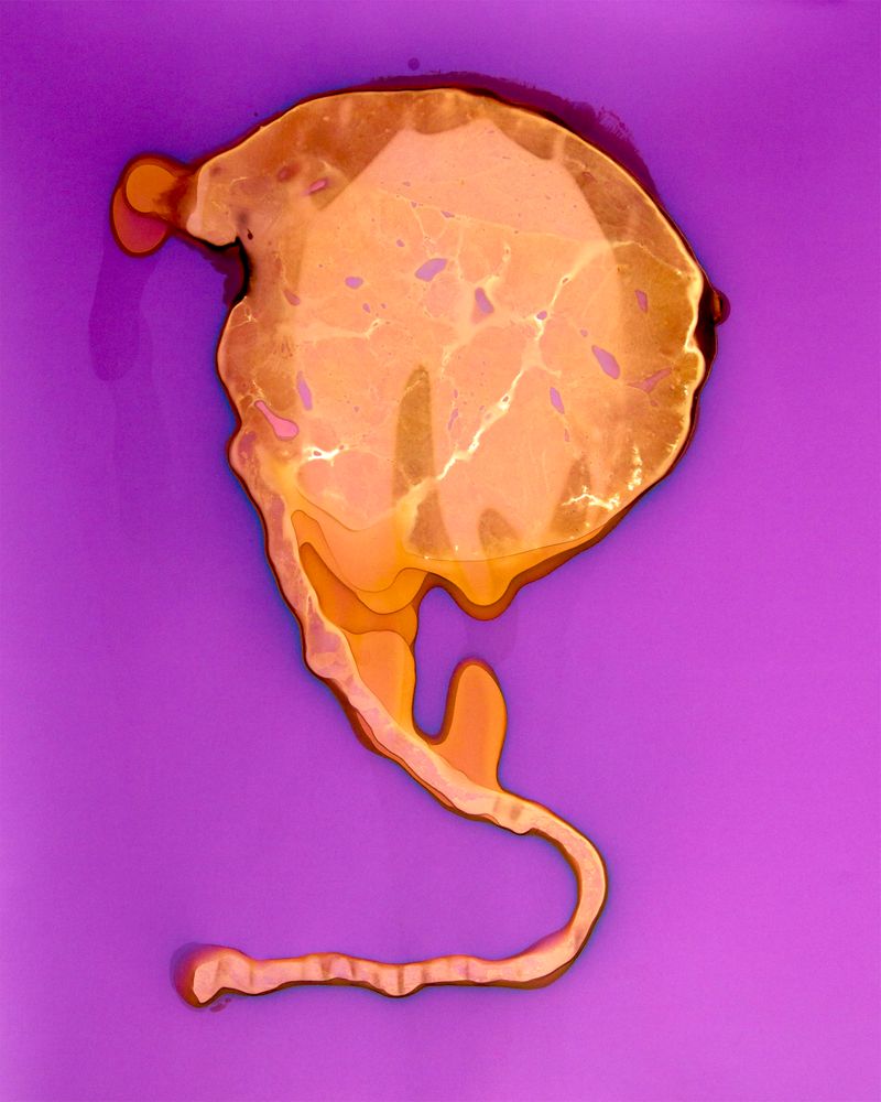 © Amber Lee Williams - Birth Day Cake #1, 2018, Archival pigment print (Lumen Print)