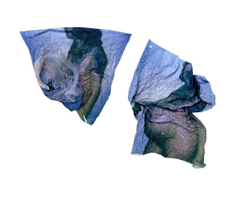 © Amber Lee Williams - Upper Body Lower Body, 2018, Archival pigment print (Polaroid emulsion lift)