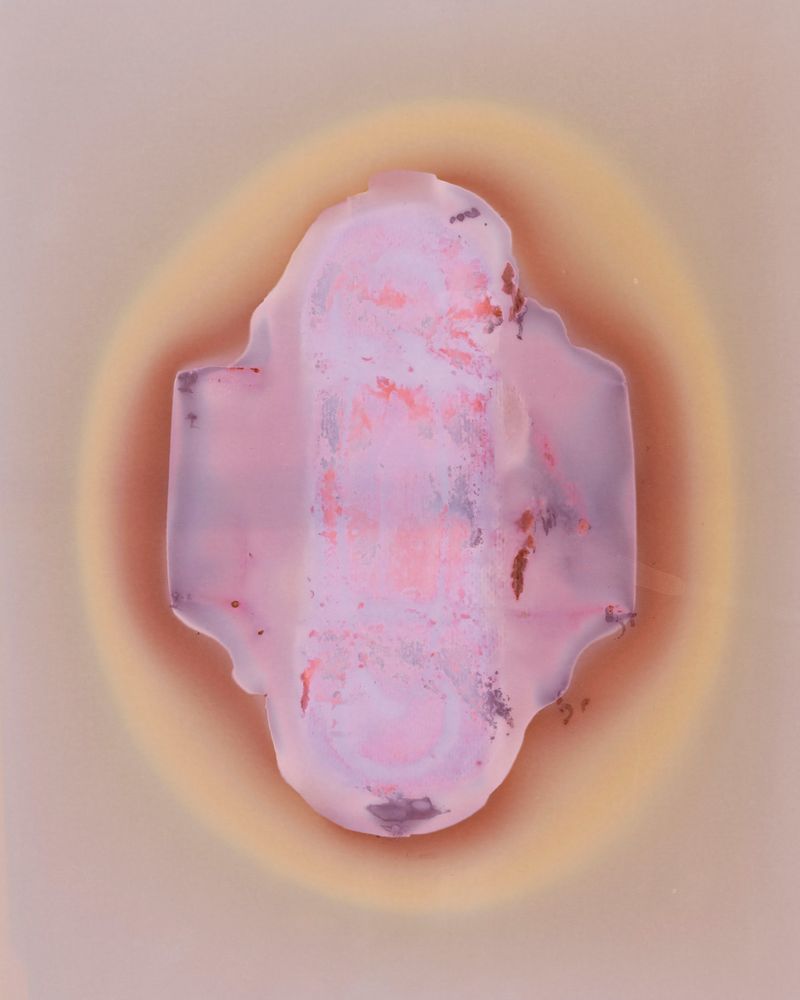 © Amber Lee Williams - Padsicle #3, 2018, Archival pigment print (Lumen Print)