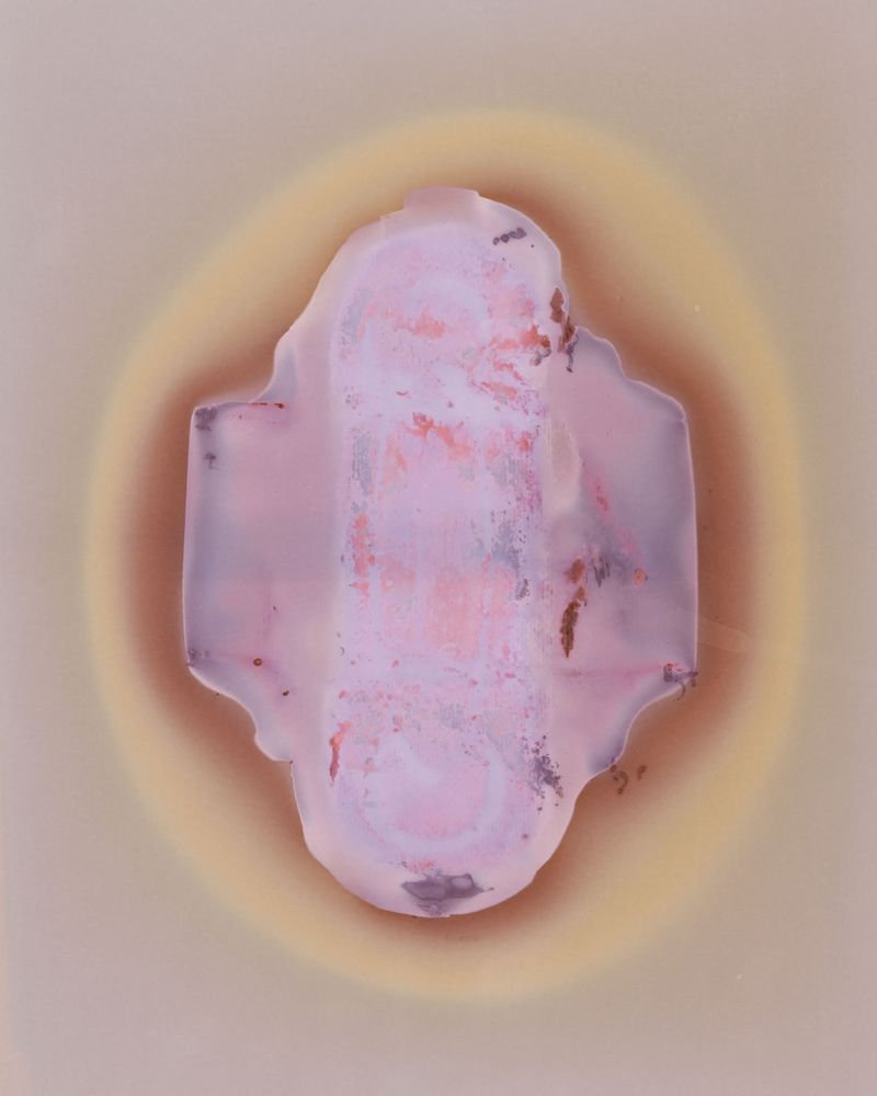 © Amber Lee Williams - Padsicle #3, 2018, Archival pigment print (Lumen Print)