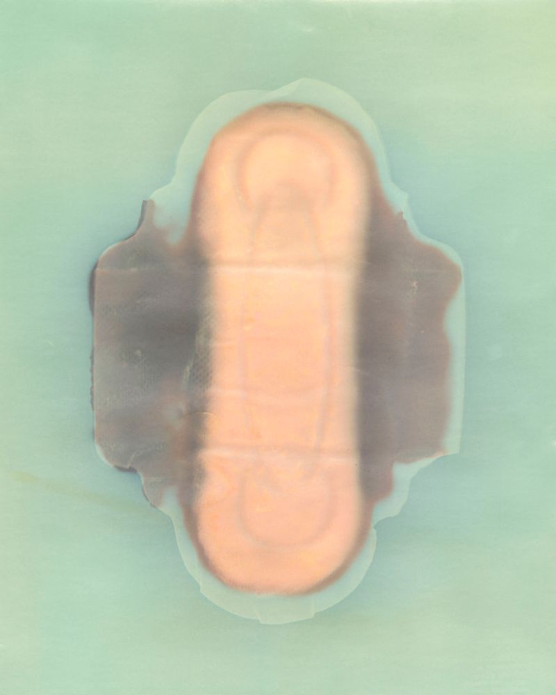 © Amber Lee Williams - Padsicle #2, 2018, Archival pigment print (Lumen Print)