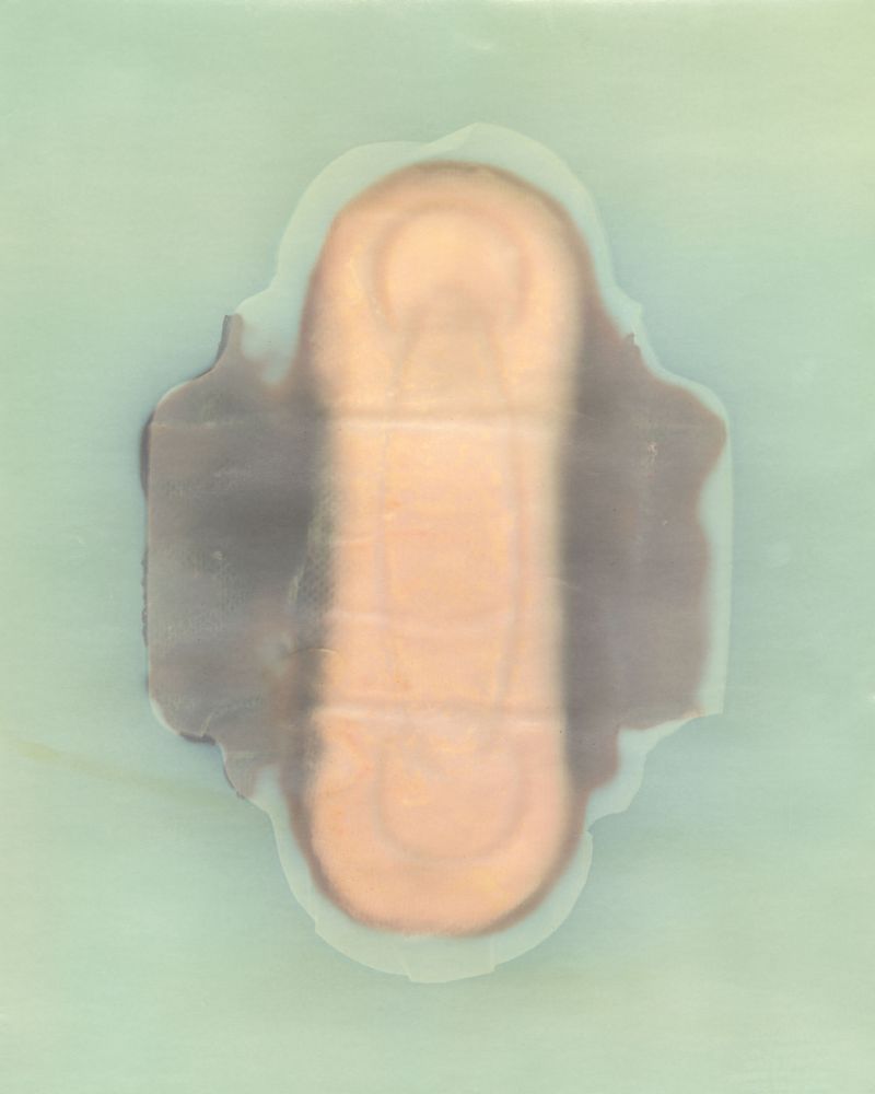 © Amber Lee Williams - Padsicle #2, 2018, Archival pigment print (Lumen Print)