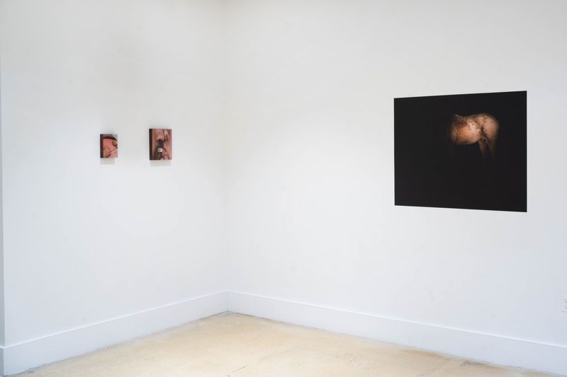 © Chloe Scout Nix - sorry for the mess 2024 install shots at Pratt Photo Gallery in Brooklyn NY