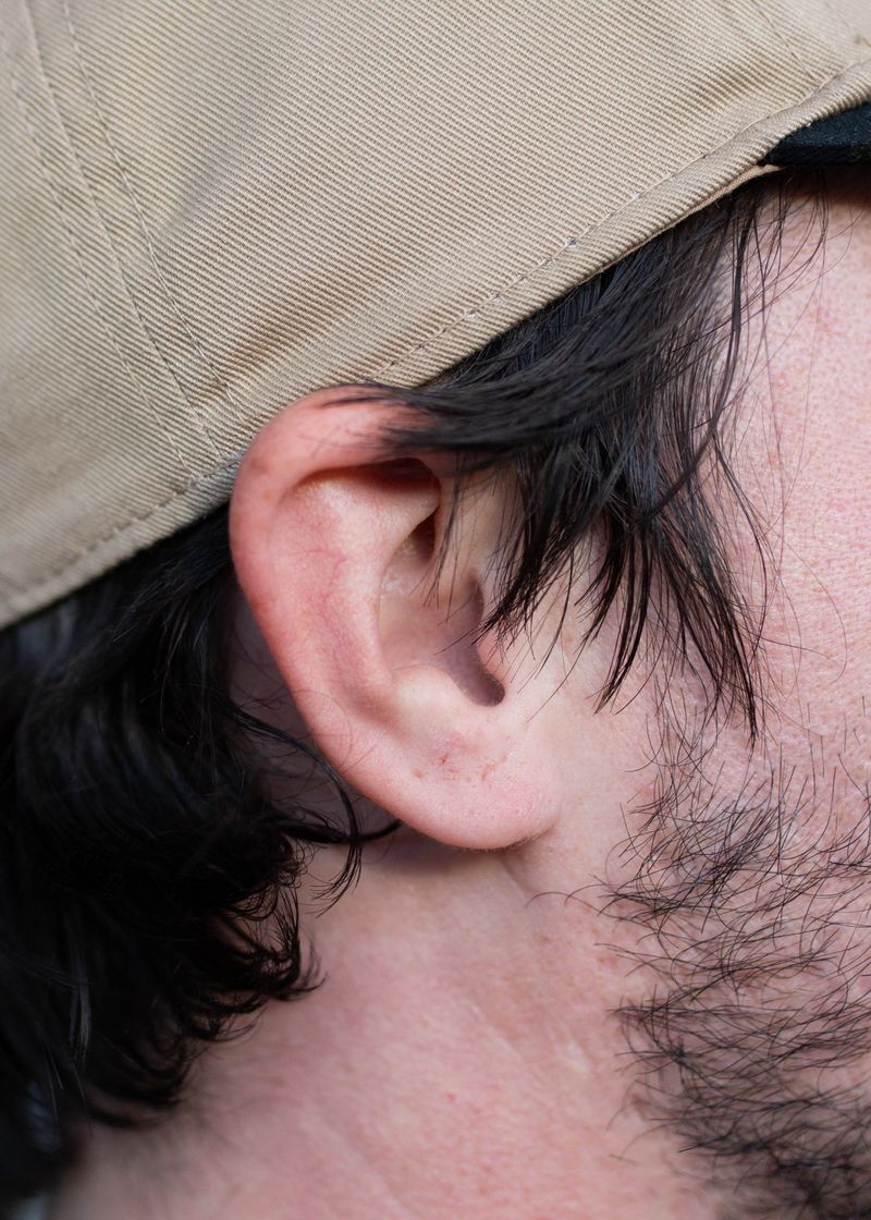 © Chloe Scout Nix - taylor ear, 2023. 32x40 in. fabric coated vinyl paper.