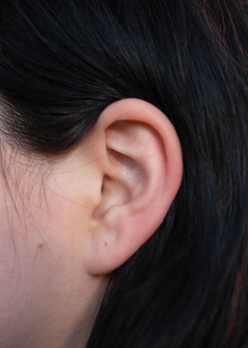 © Chloe Scout Nix - mira ear, 2023. 32x40 in. fabric coated vinyl paper.