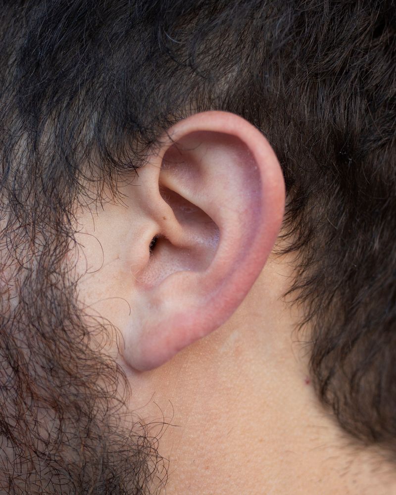 © Chloe Scout Nix - cole ear, 2023. 32x40 in. fabric coated vinyl paper.