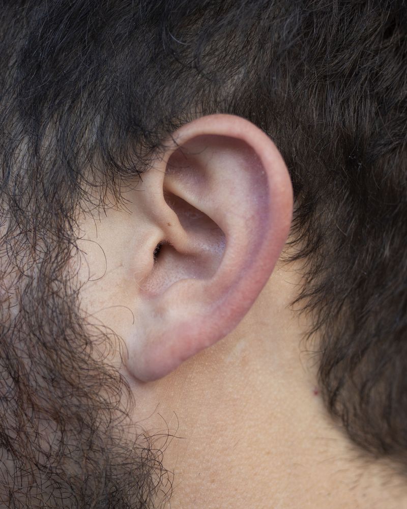 © Chloe Scout Nix - cole ear, 2023. 32x40 in. fabric coated vinyl paper.
