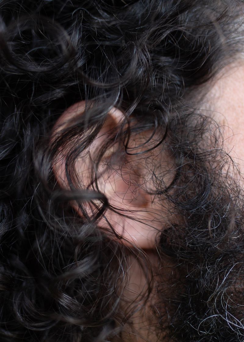 © Chloe Scout Nix - bar fly ear, 2023. 32x40 in. fabric coated vinyl paper.