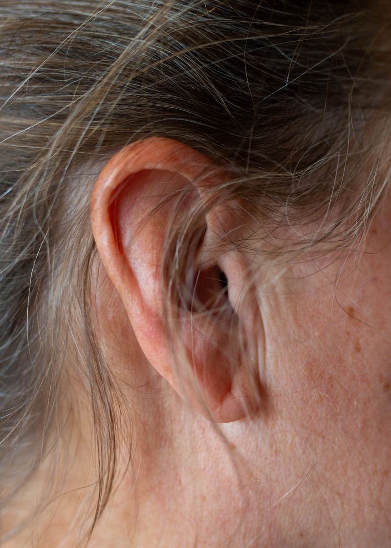 © Chloe Scout Nix - mom ear, 2023. 32x40 in. fabric coated vinyl paper.