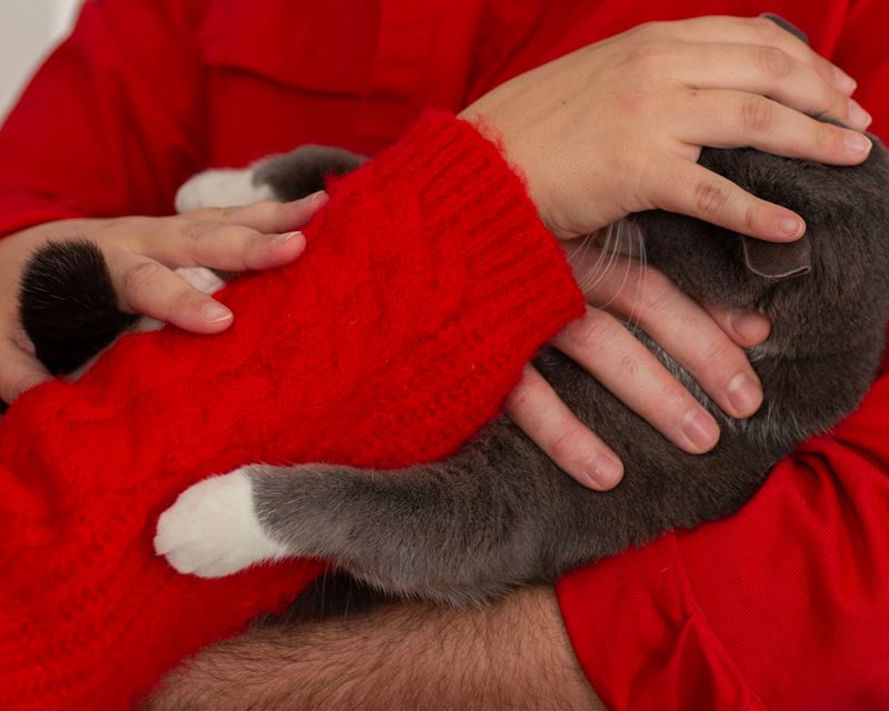 © Chloe Scout Nix - cat2023