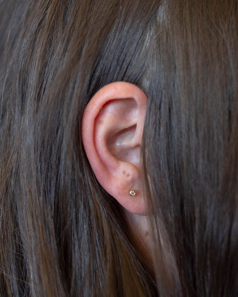 © Chloe Scout Nix - sister ear 2023