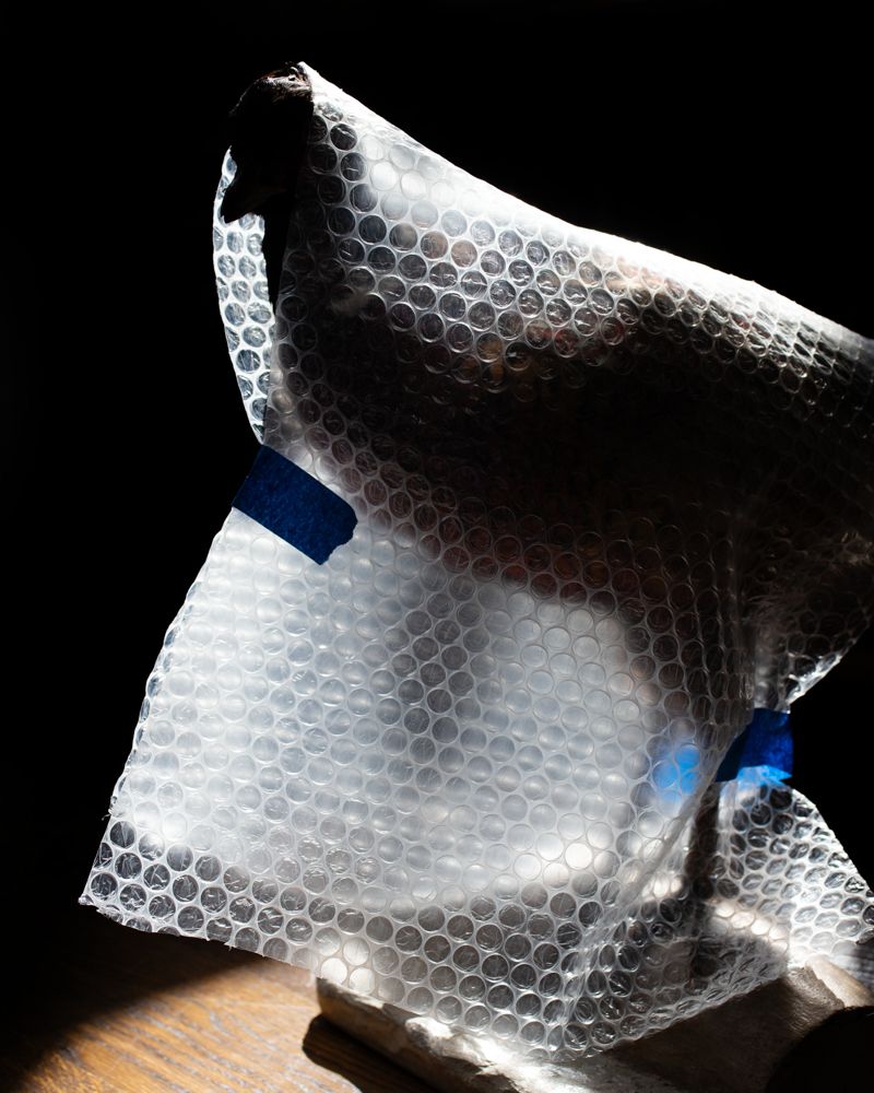 © Chloe Scout Nix - protection, 2024