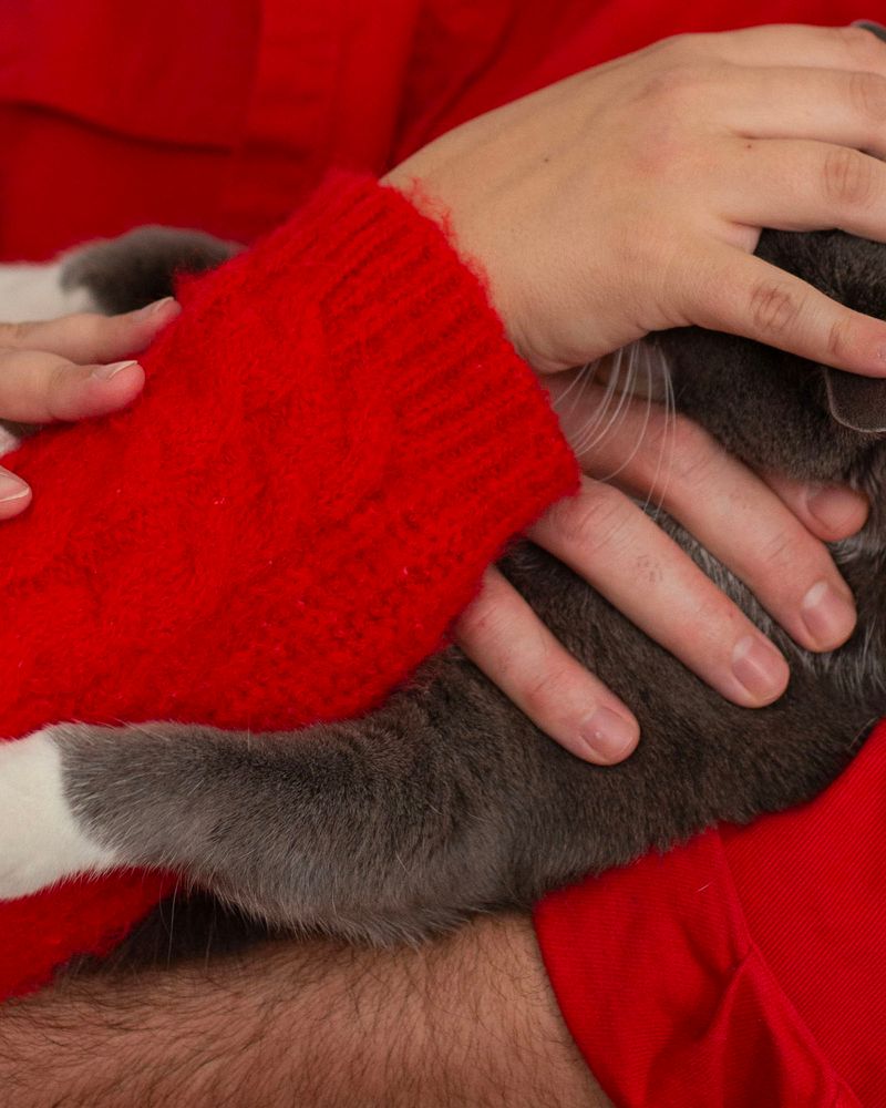 © Chloe Scout Nix - smoosh, 2023