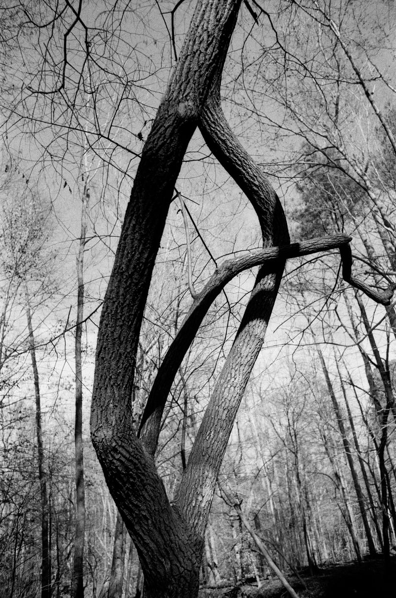 © Chloe Scout Nix - he is a priest, 2026, silver gelatin print