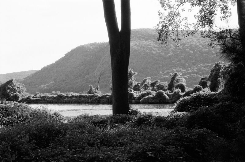 © Chloe Scout Nix - untitled