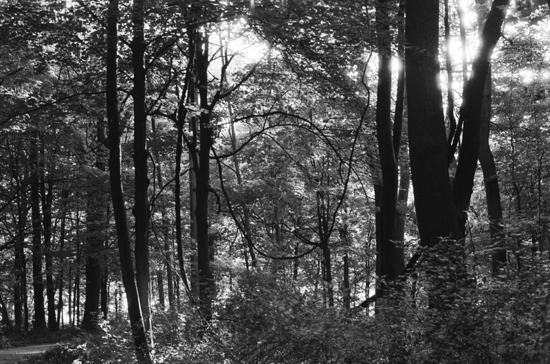 © Chloe Scout Nix - untitled