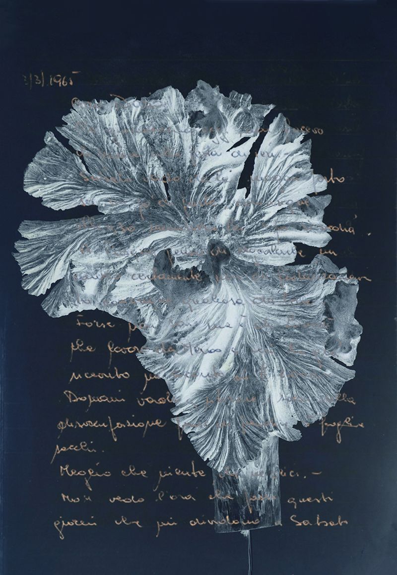 © claudia corrent - “Because it only builds up out of fragments".John Ashbery