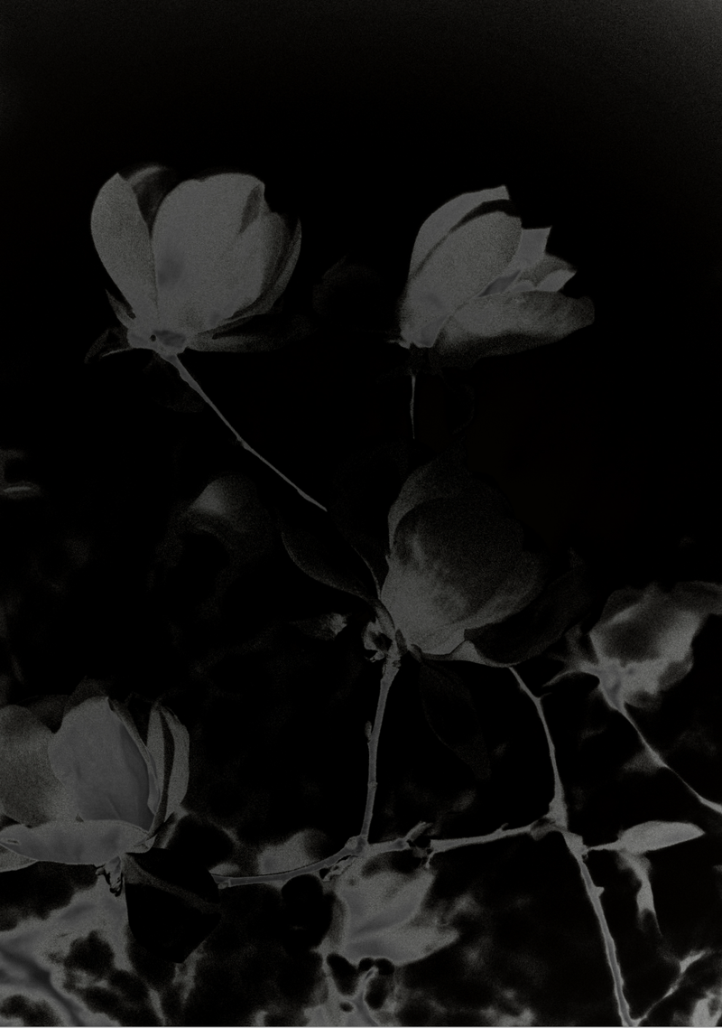 © claudia corrent - Image from the What Remains of the Night photography project