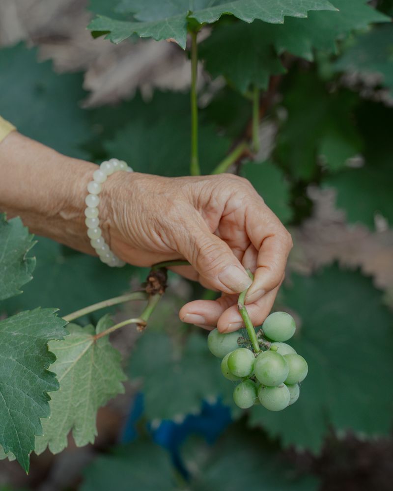 © Kaiwei Duan - Image from the Don't leave me photography project