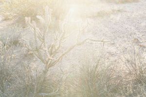 Sin Nombre en Esta Tierra Sagrada: Imagining Your Last Breath