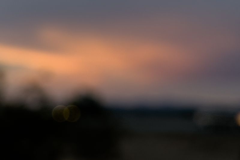 © Elizabeth Z. Pineda - Esta Noche