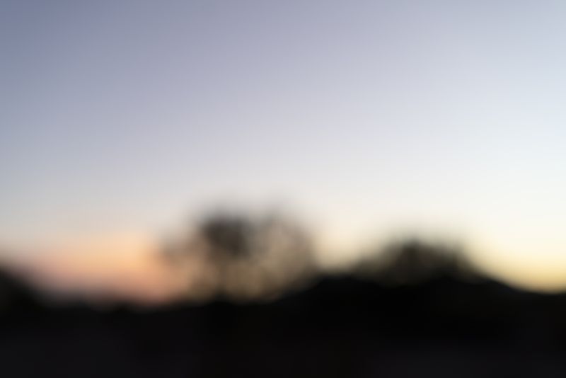 © Elizabeth Z. Pineda - El Desierto en la Noche
