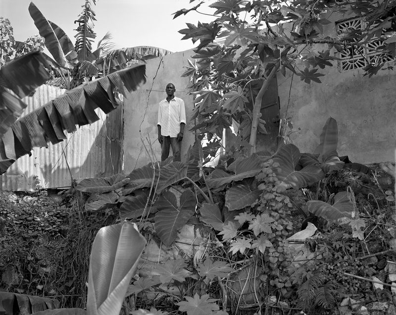 © Laura Heyman - Charles Constant, Carrefour Feuilles, 2012