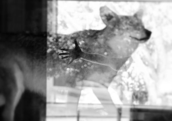 © Catherine Panebianco - Image from the Anima Fabula photography project