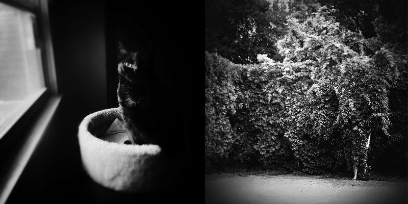 © Catherine Panebianco - Image from the Anima Fabula photography project