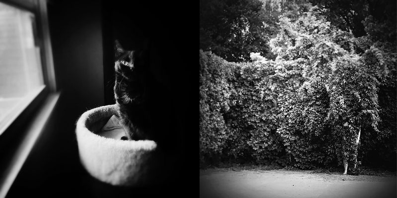 © Catherine Panebianco - Image from the Anima Fabula photography project