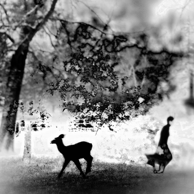 © Catherine Panebianco - Image from the Anima Fabula photography project