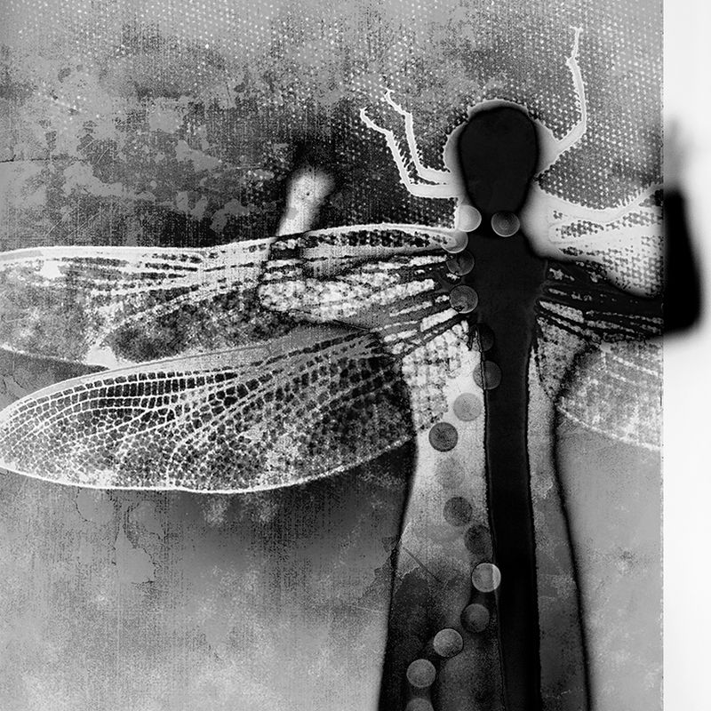 © Catherine Panebianco - Image from the Anima Fabula photography project