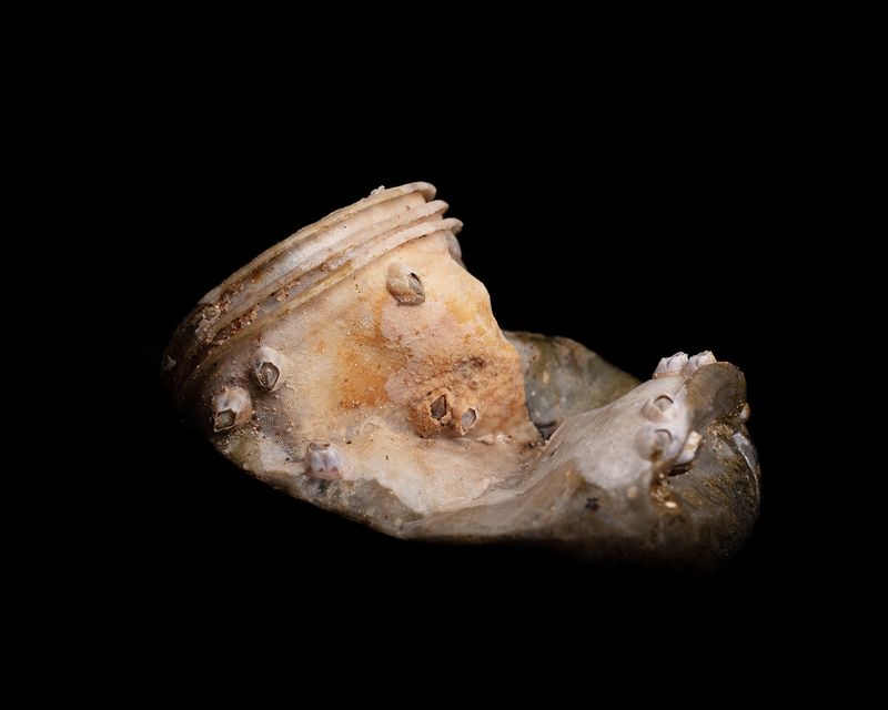 © Ioana Cirlig - Image from the The New Empire photography project