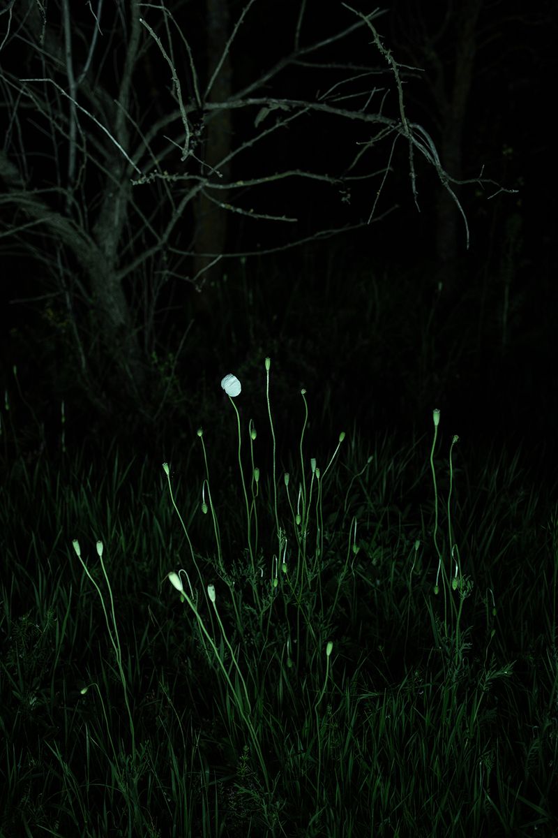 © Ioana Cirlig - Image from the The New Empire photography project