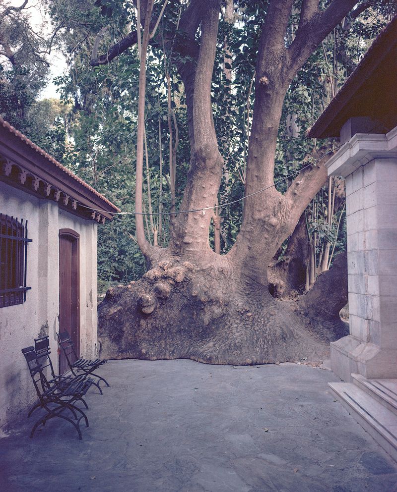 © Ioana Cirlig - Image from the The New Empire photography project