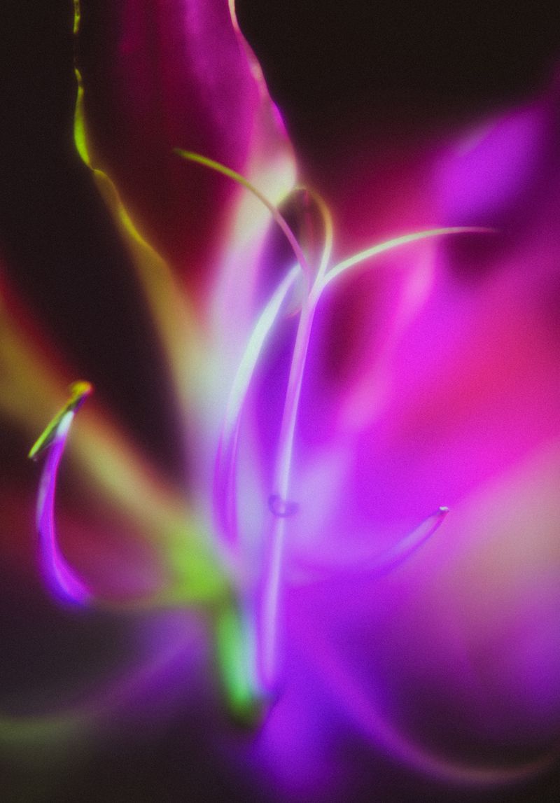 © Ioana Cirlig - Image from the The New Empire photography project