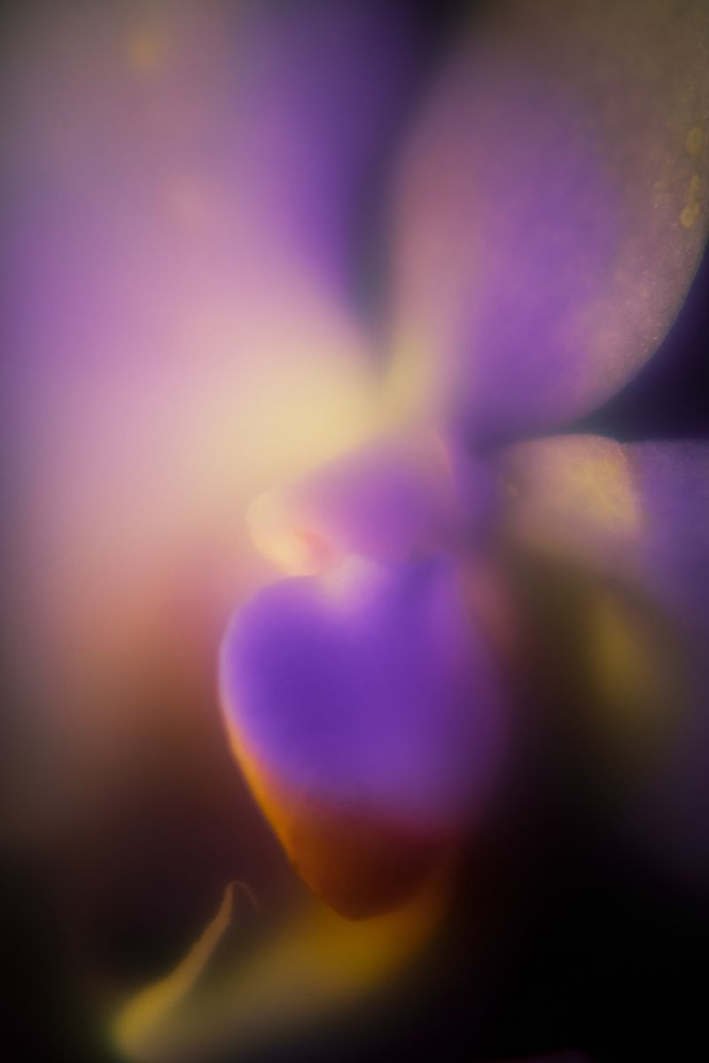 © Ioana Cirlig - Image from the The New Empire photography project